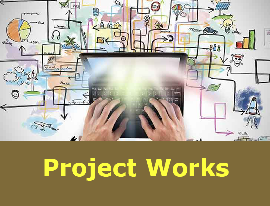 Project Title